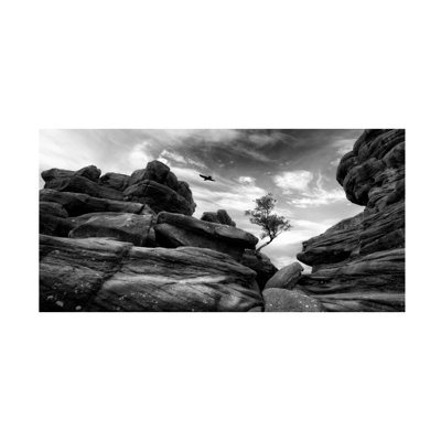 Bolog Adrian Baszczyk Brimham Canvas Art