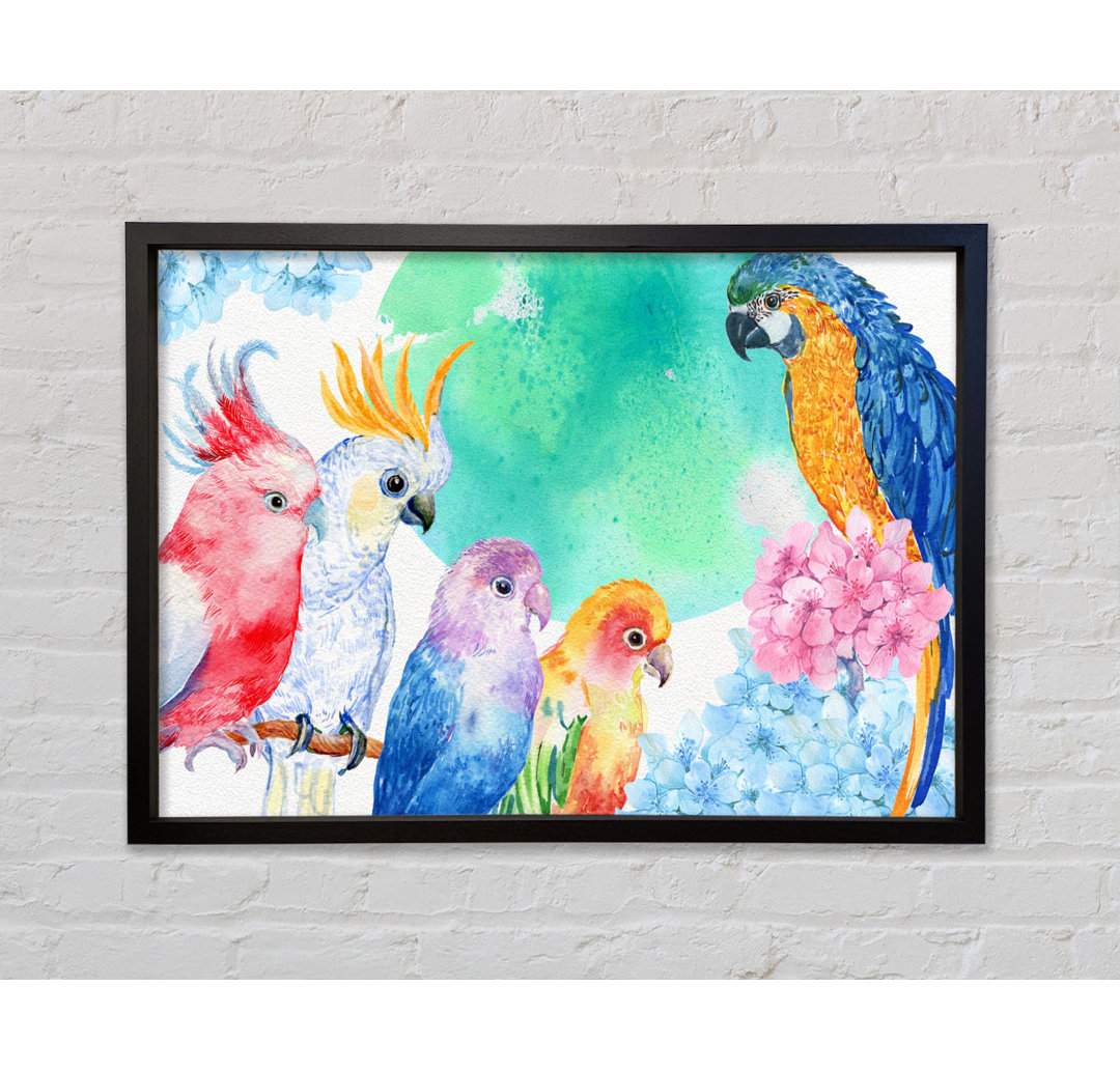 Array Of Watercolour Parrots - Einzelne Bilderrahmen Kunstdrucke auf Leinwand