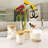 Glass Food Storage Container