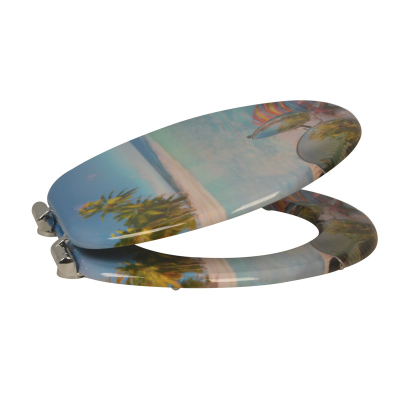 Soft Close Elongated Toilet Seat