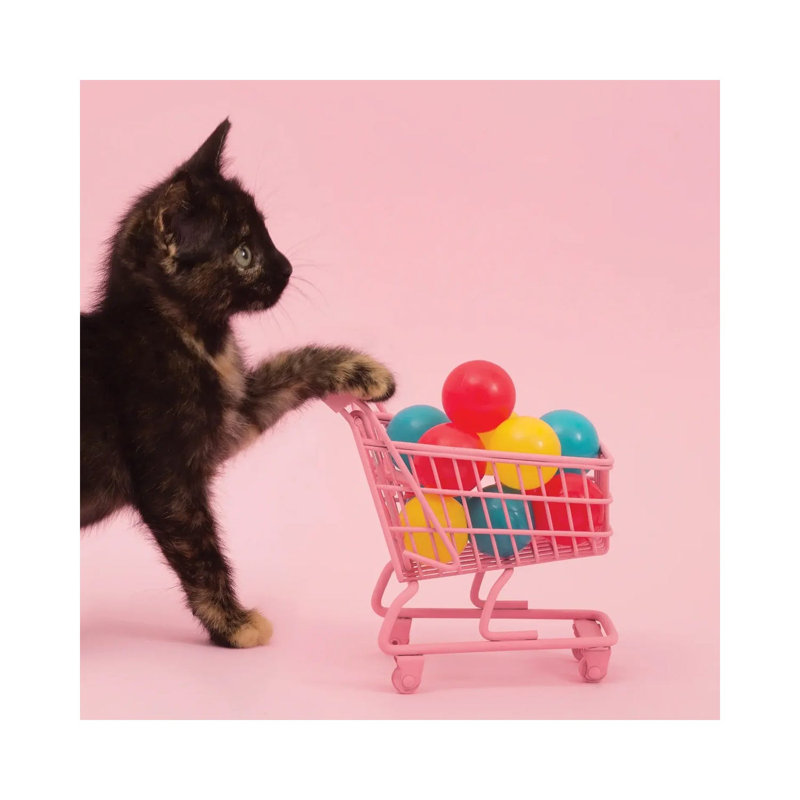 Only The Essentials by Pepino De Mar - Wrapped Canvas Print, 45.72 cm H x 45.72 cm W x 1.91 cm D