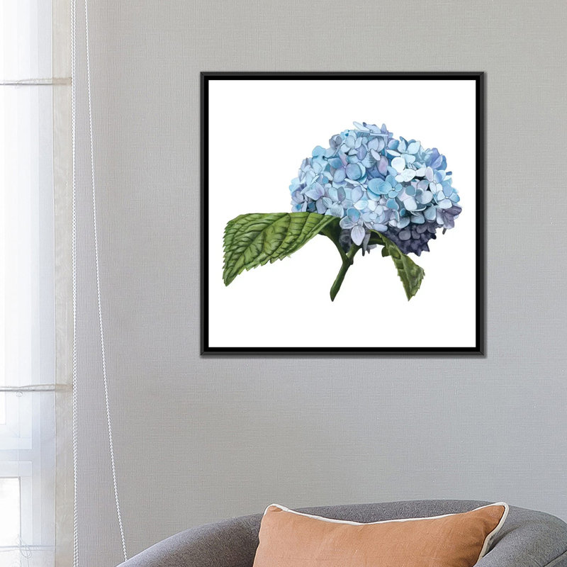 «Brighton Blooms I», impression sur toile, H 18 po x l 18 po x P 1,5 po, Toile avec cadre noir, Pas de tapis