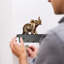Clayberg Wall Organizer with Key Hooks