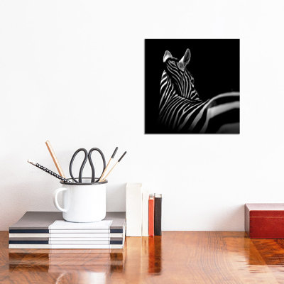 Zebra In Black And White I by Lukas Holas - Wrapped Canvas Print