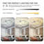 Cashon 63cm 7 - Blade Dimmable LED Ceiling Fan with Remote Control and APP-476135226