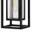 Republic Composite 1-Light Outdoor Hanging Double Frame Lantern