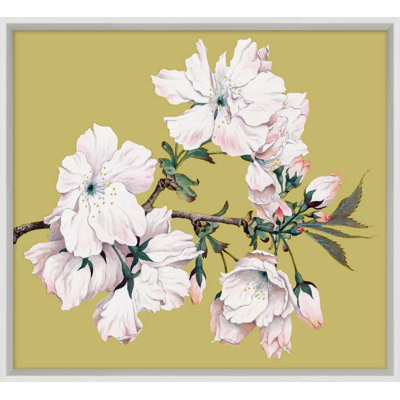 Goldenrod Blossom 1 Print
