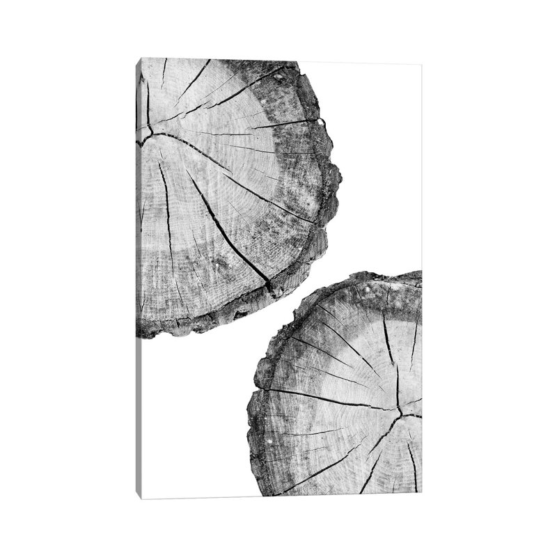 Wood Slice by Sisi & Seb - Wrapped Canvas Gallery-Wrapped Canvas Giclée, 66.04cm H x 45.72cm W