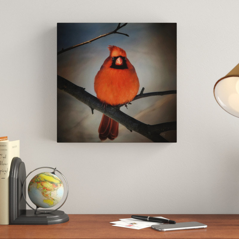 « cardinal on a blustery day », reproduction de photo sur toile tendue, H 14 po x l 14 po x P 2 po