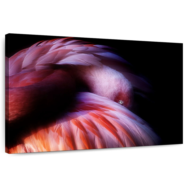 Brampt Gradient Flamingo, 26" H x 39" W