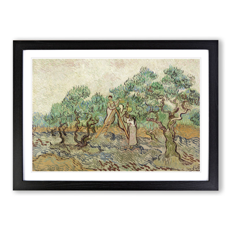 The Olive Orchard by Vincent Van Gogh - Picture Frame Painting, Black Framed, 48cm H x 65cm W x 2cm D
