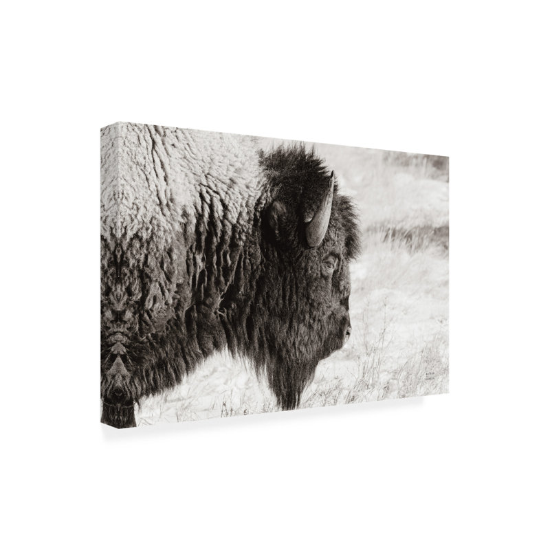 Contemporary, 22" H x 32" W x 2" D