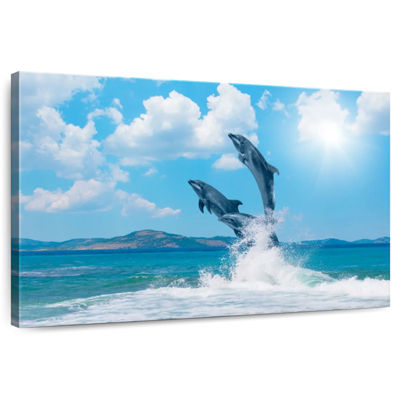 Brampt Dolphin Paradise, H 24 po x l 36 po