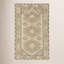 Bristol Oriental Area Rug in Brown-825303888