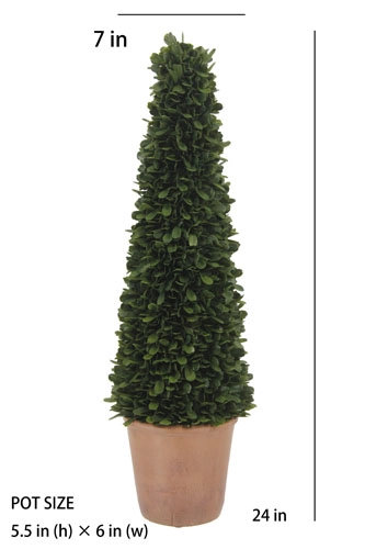 24" Artificial Boxwood Plant in Tapered Pot