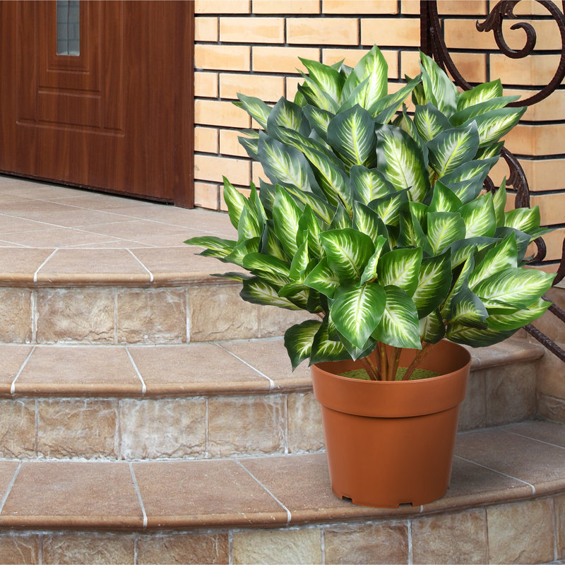 The Holiday Aisle®, plante hôte artificielle, H 24 po x l 18 po x P 18 po