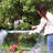 Outdoor Portable Mini Greenhouse with Clear Cover-96813802