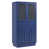 Blue is out of stock selected