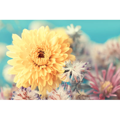 Yellow Aster Close Up by Alexraths - Wrapped Canvas Print
