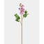 Artificial White Lilac 22.5"-719866864