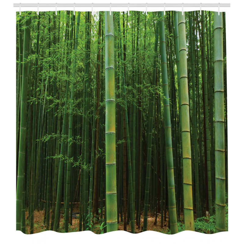 Shower Curtain with Hooks Included, 70" H x 69" W