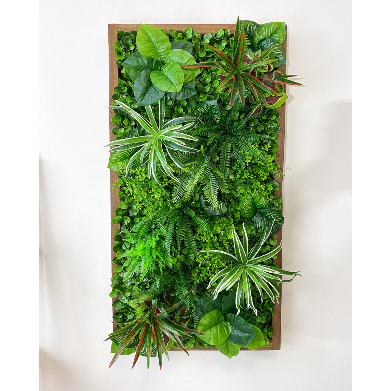 106cm Plant, Brown