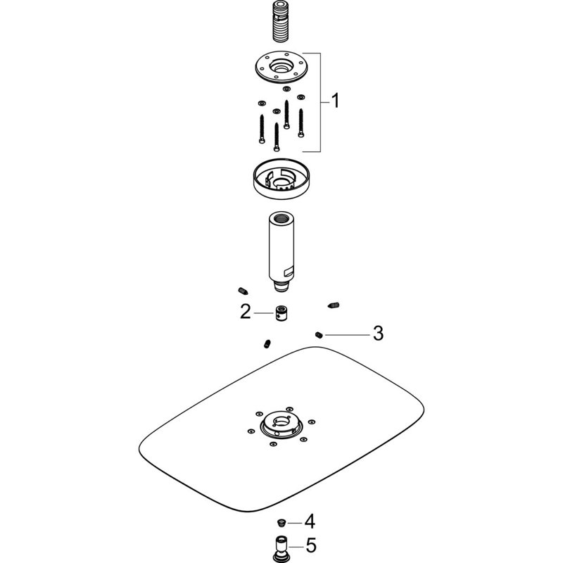 Pomme de douche au plafond PuraVida, Chrome