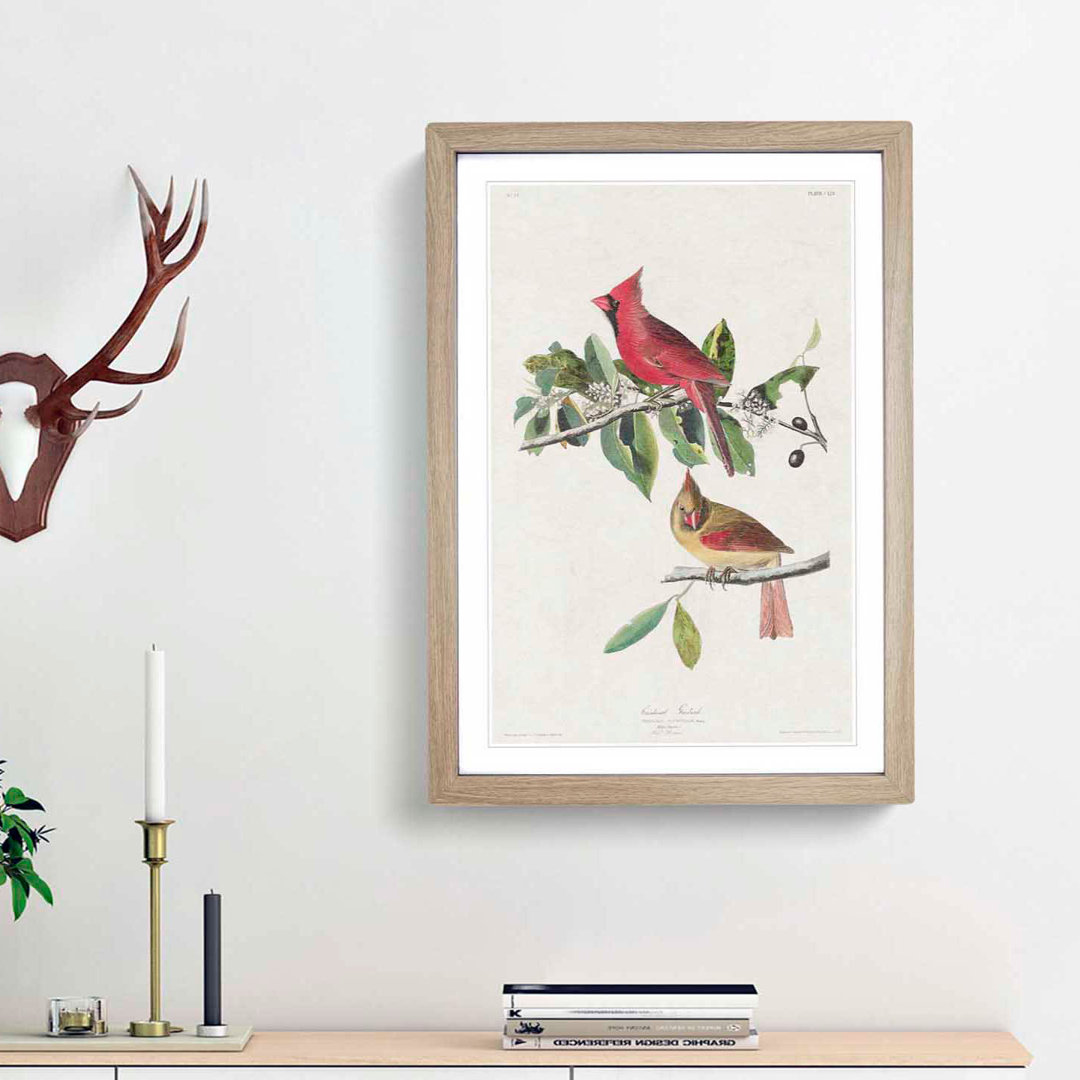 Cardinal Grosbeak Birds by John Audubon - Picture Frame Painting Print