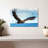 Eagle In Flight-70241516