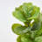 Artificial Fiddle Leaf Fig Tree 5Ft/7.2Ft-1417875966