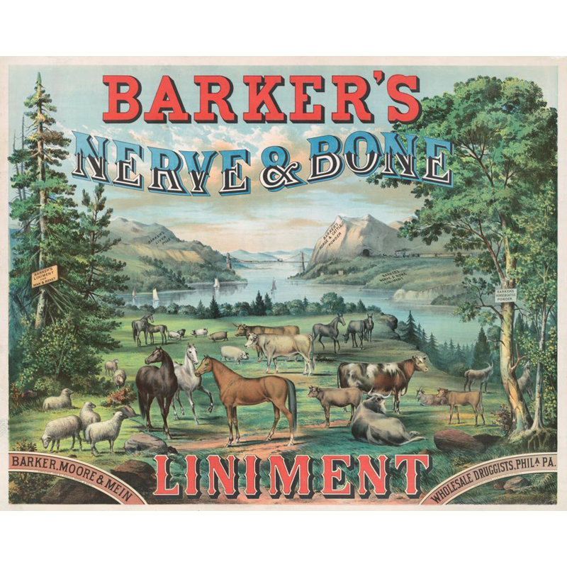 «Barker's Nerve & Bone Liniment» par Thomas Hunter, Lith. - Toile tendue avec châssis, H 24 po x l 17 po