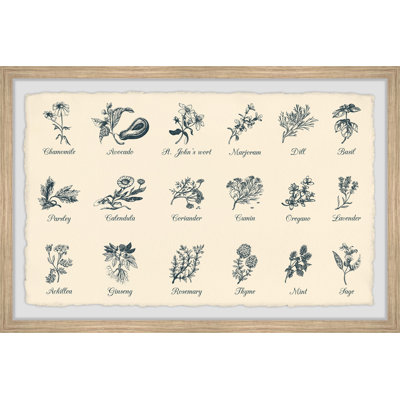 Spices and Herbs 1 Piece Single Picture Frame Painting