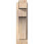 Sapin Douglas-113998552-109329543