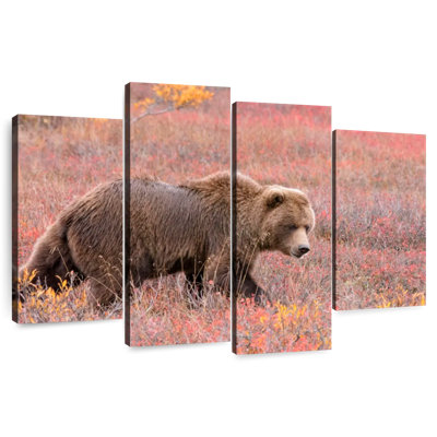 Alaskan Meadow Grizzly Bear