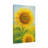 Aaroon Single Picture Frame Print on Canvas-2015368693