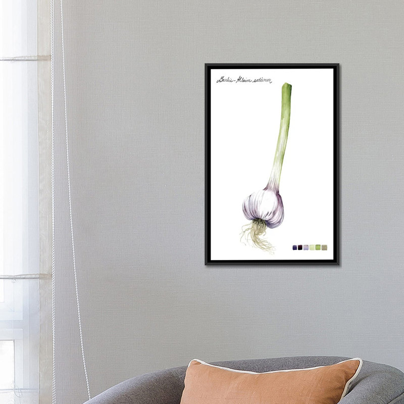 «Root Légume I», impression sur toile, H 26 po x l 18 po x P 1,5 po, Toile avec cadre flottant noir, Pas de tapis