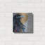 «Raven 7» par St. Hilaire Elizabeth-283506107
