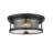 Industrial 2 Light Round Glass Flush Mount-1301100537