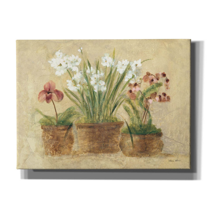 «Garden Orchid And Narcissus» par Cheri Blum, art mural sur toile, H 40 po x l 54 po x P 1,5 po