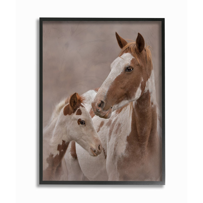 « cheval family », reproduction de photo, H 14 po x l 11 po x P 1,5 po, Giclée encadrée noir minuit