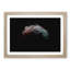 Moon - Picture Frame Graphic Art Print-55732184-55732188