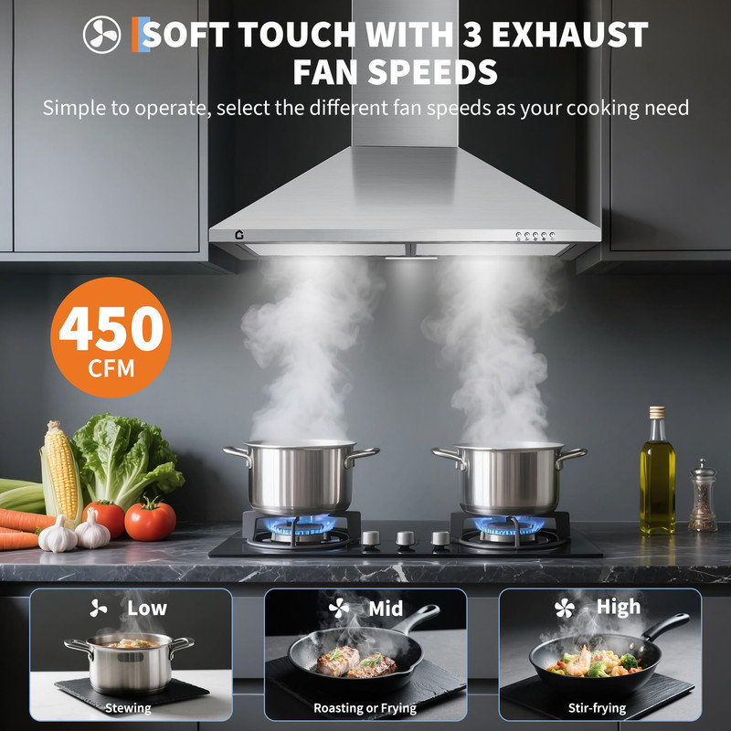 Hotte de cuisine 30 pouces - installation murale 250 CFM, acier inoxydable, commande à bouton-poussoir, lumière DEL, 110 V