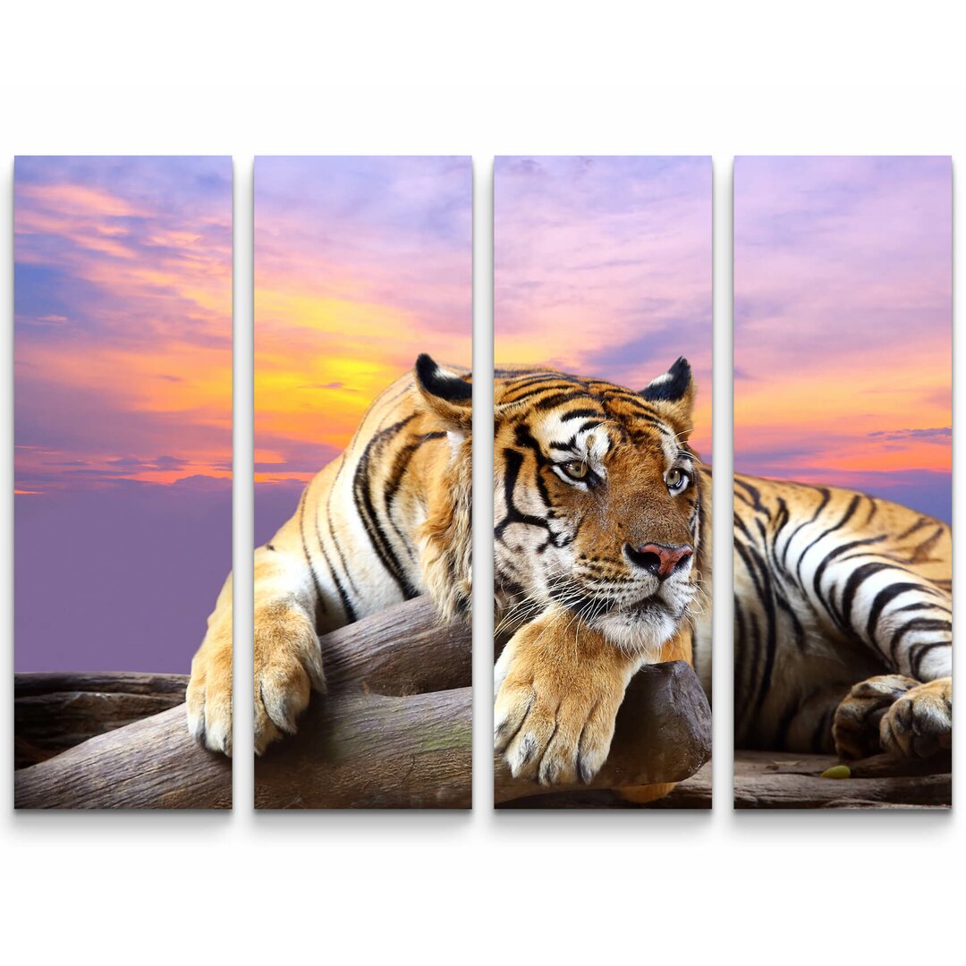 4-tlg. Leinwandbilder-Set Liegender Tiger mit Sonnenuntergang im Hintergrund