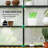 5 Ft W x 5 Ft D Walk-in Greenhouse