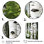 Bouleau blanc et vert Whispers III - Art mural grand bouleau-835195077-835195082