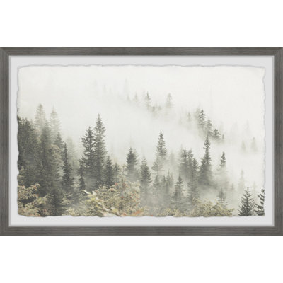 Pine Trees And Fog by Marmont Hill - Single Picture Frame Print
