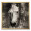Farmhouse Horse II - reproduction d'art sur toile-51145419-51145426