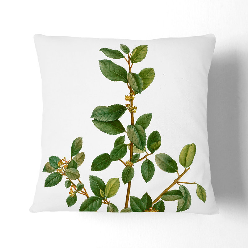 Square Throw Cushion, 55cm H x 55cm W x 20cm D