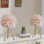 Ensemble de 2 lampes de table plumes modernes de 19 po Feather