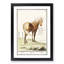 Horse by A.B. de Boodt - Picture Frame Painting Print-55579910-55579912